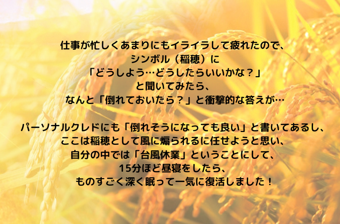 WP画像 (682 × 341 px) (682 × 450 px) (2)