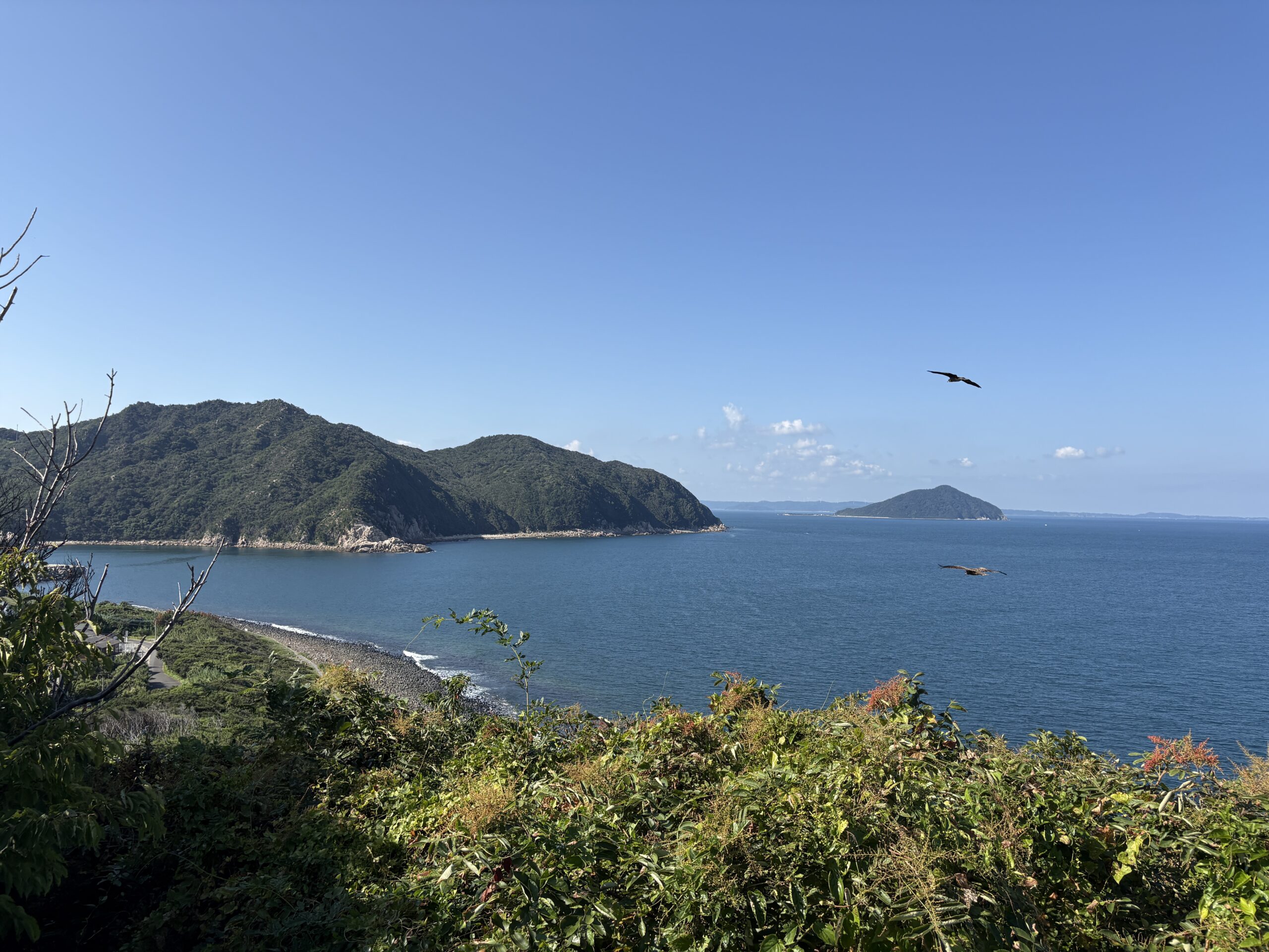 福岡　画像　山