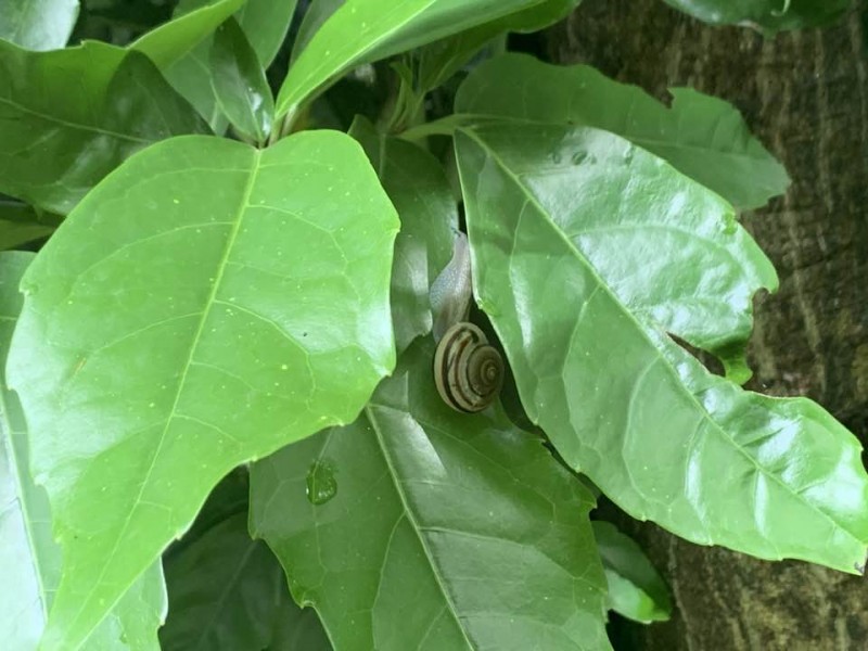 ただひたすら　そこにある