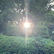 師匠を超えることが魂の恩返しって知ってました？