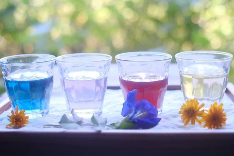 242183729_397809635310602_7129794508378547471_n