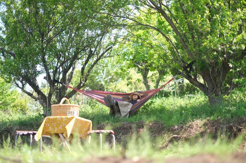 245670856_910961842860387_8631472548364332358_n