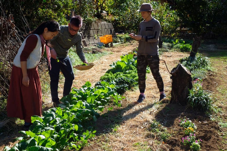 246745042_419340323116496_2534707204786652759_n