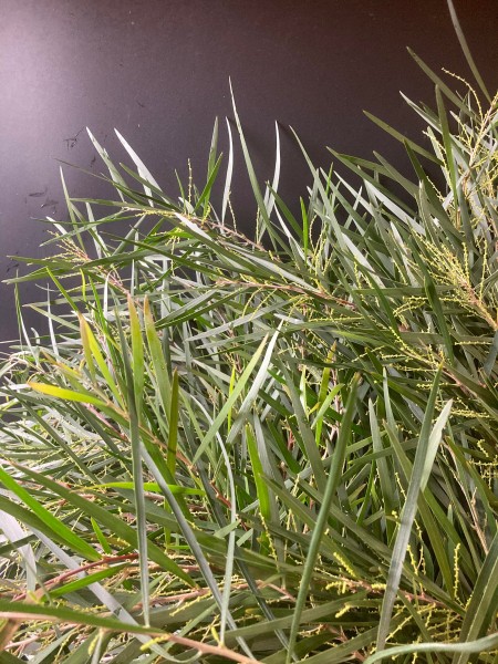 251013519_4678292125563996_370698268177475975_n