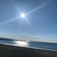 ここだけのこの場だからの学びを得て、素敵なお城ができたような気分です。
