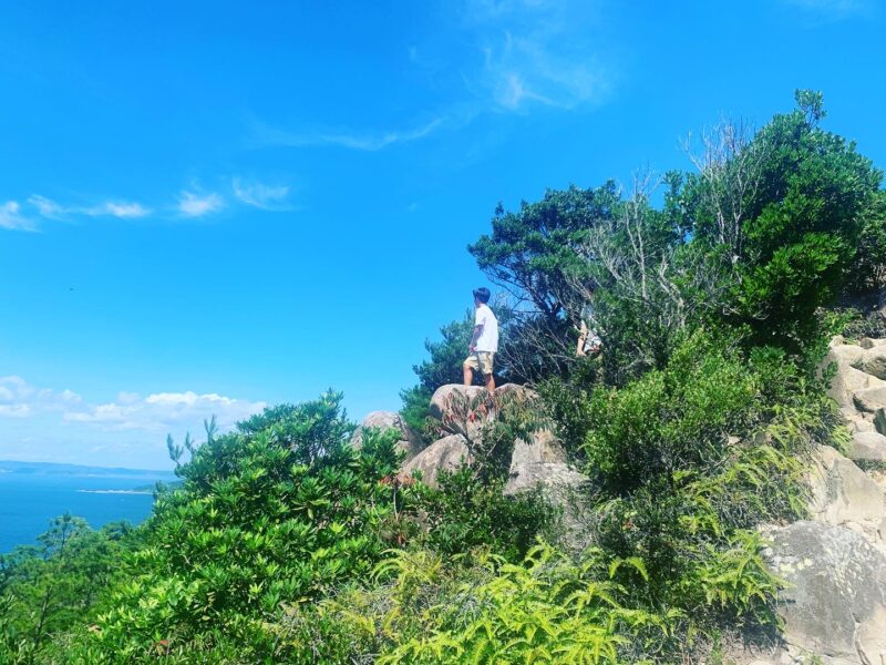 広大な風景が広がっている