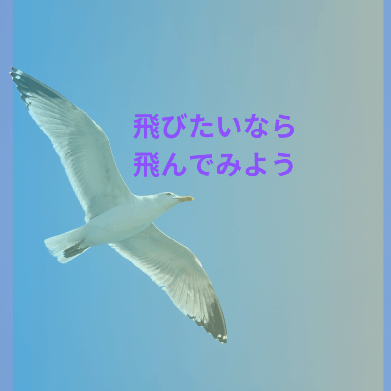 飛んでみよう